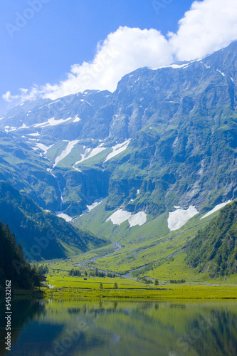 alpine landscape in summer