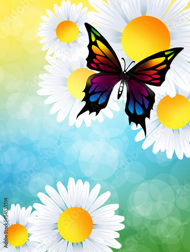 Fototapeta Naklejka Na Ścianę i Meble -  Butterfly on flowers