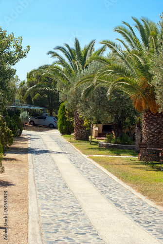 Stone pathway into garden during day time at Chalkidiki in Greec © zoipap