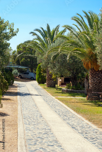 Stone pathway into garden during day time at Chalkidiki in Greec