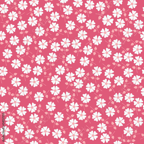 Seamless floral pattern. Flowers texture. Daisy.