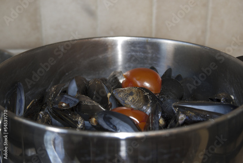 cozze in cottura photo