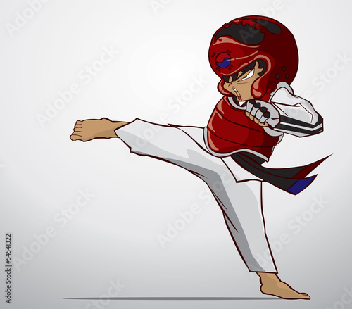 taekwondo martial art