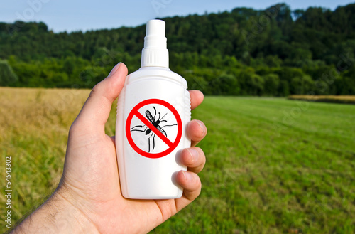 Hand hält Spraydose mit Anti Mücken Spray draußen auf grüner Wiese/Feld photo