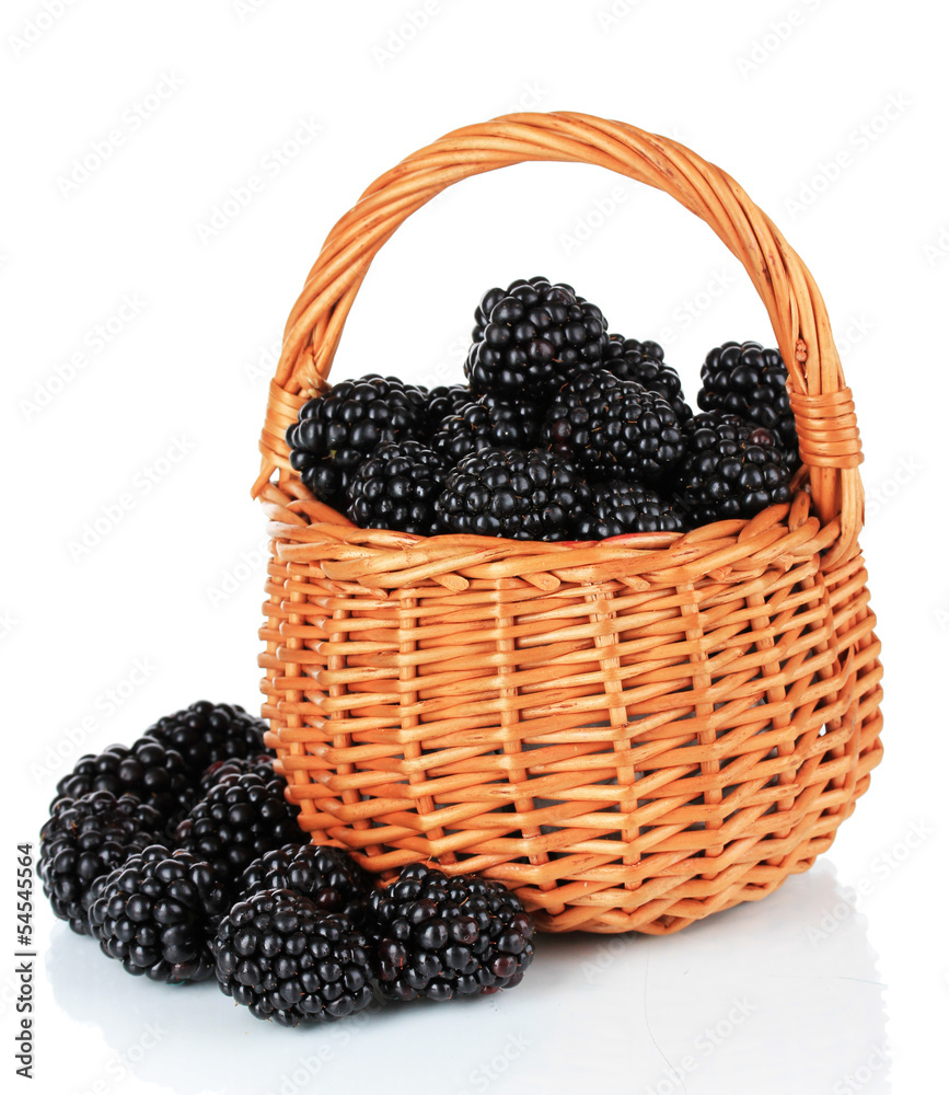 Sweet blackberries in wicker basket isolate on white Sweet blackberries in wicker basket isolate on white