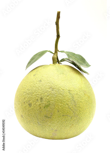 Green pomelo fruit photo