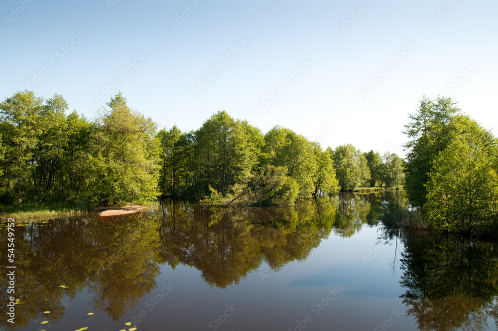 Fototapeta premium river