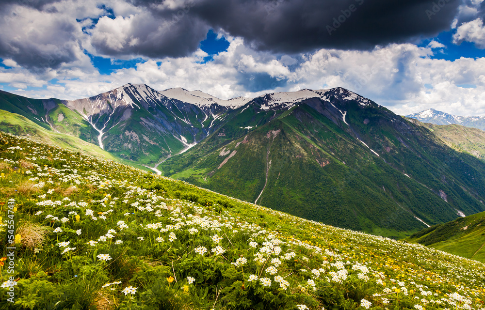 Fototapeta premium mountain landscape