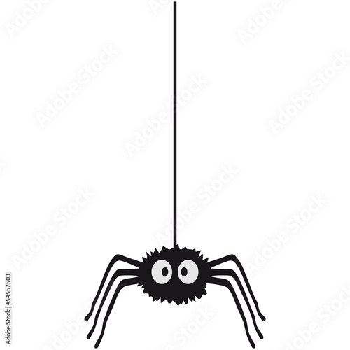 Funny Spider photo