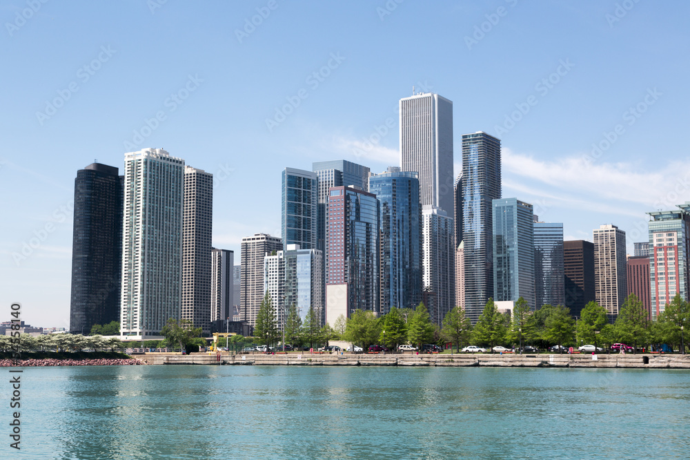 Fototapeta premium Chicago skyline