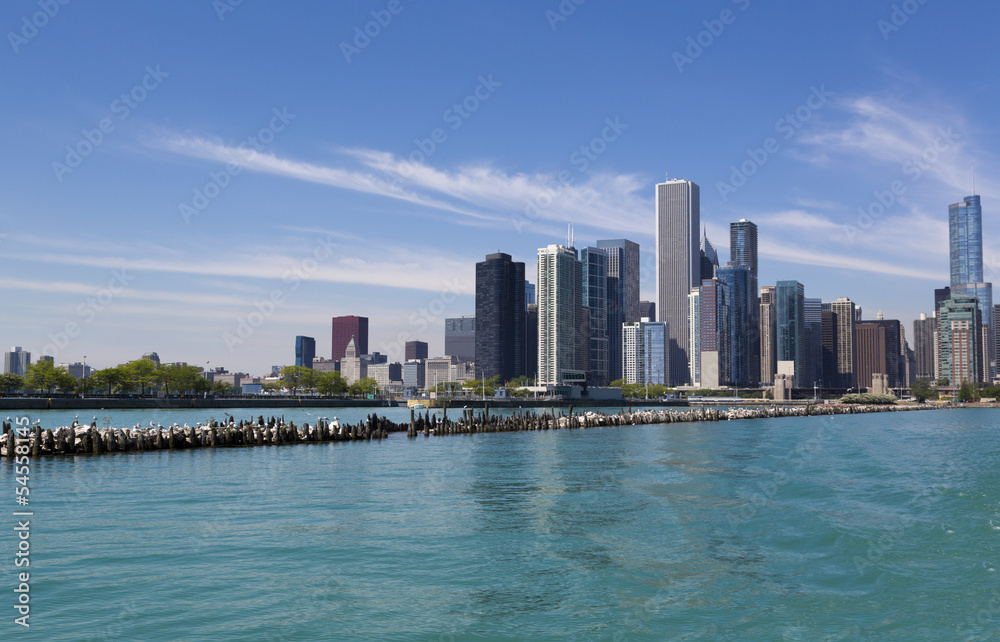 Obraz premium Panoramę Chicago