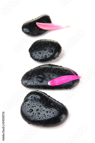 Spa stones and pink petals isolated on white