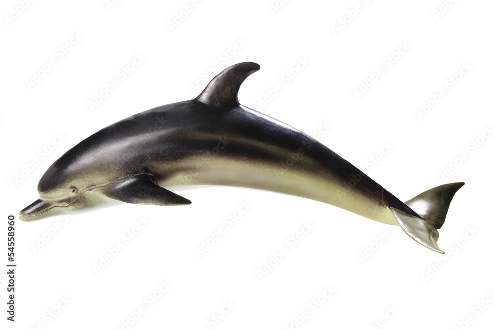 Naklejka premium Dolphin