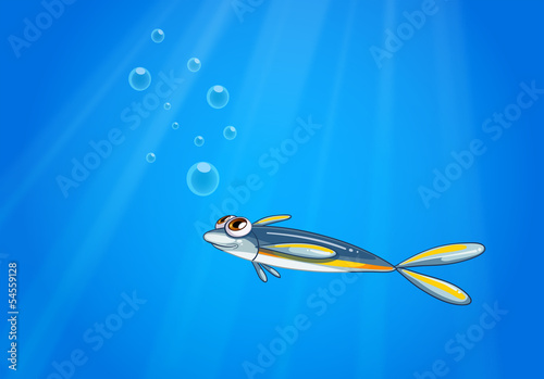 A blue yellow fish under the sea
