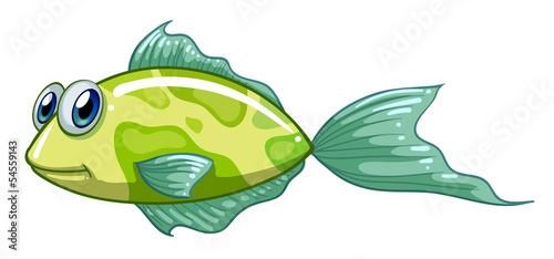 A small green fish