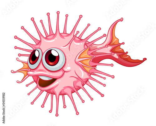 A unique puffer fish