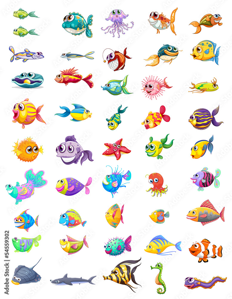 Group of different fishes Group of different fishes