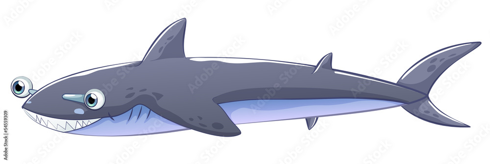 A gray shark A gray shark