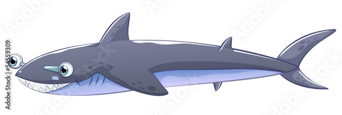 A gray shark