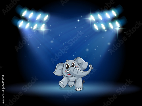 An elephant dancing at the stage under the spotlights