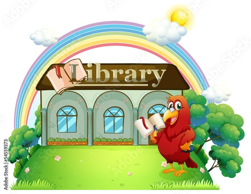 A red parrot reading in front of the library