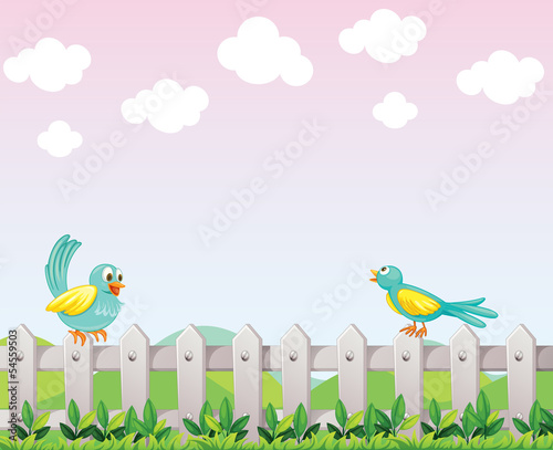 Two birds above the fence