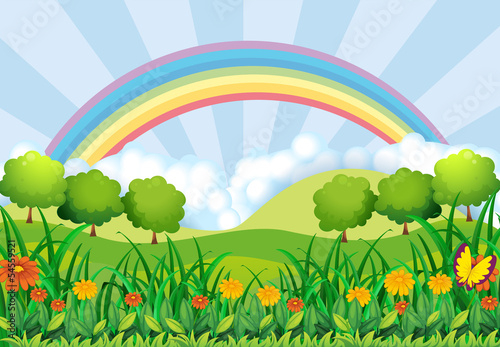 The field and the rainbow
