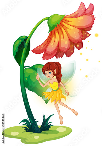 A fairy under a giant flower