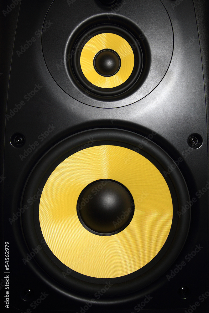 Speaker Speaker