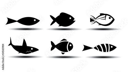 Photography Fish Icons