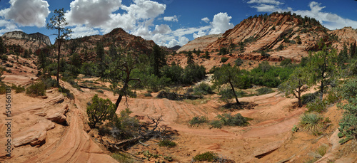 Zion National Park
