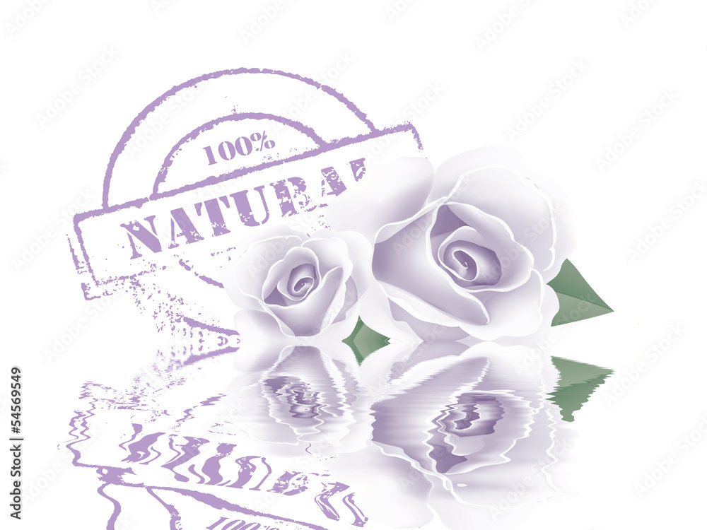 Obraz premium Natural stempel mit rose