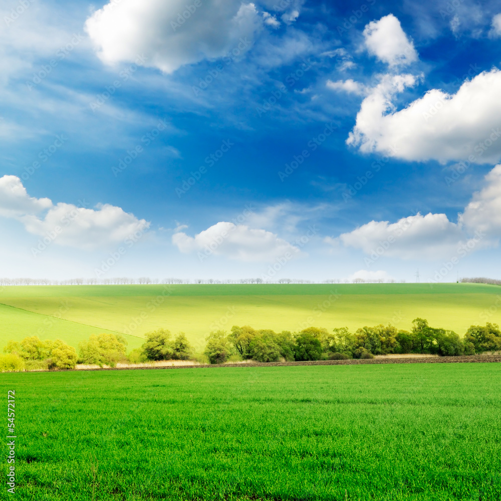 Obraz premium spring field and white clouds