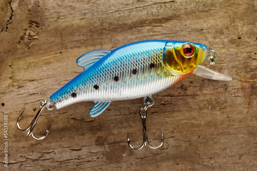 fishing lure