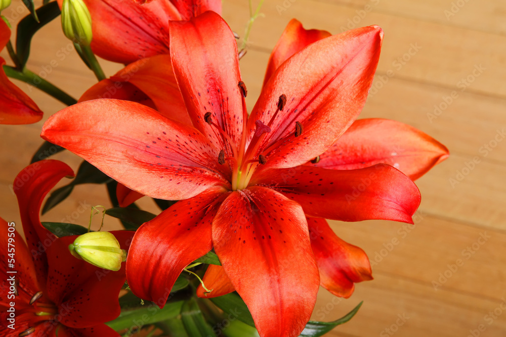 Lilium Flower Lilium Flower