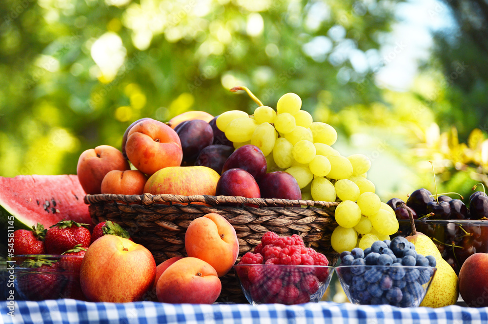 Fototapeta premium Basket of fresh organic fruits in the garden