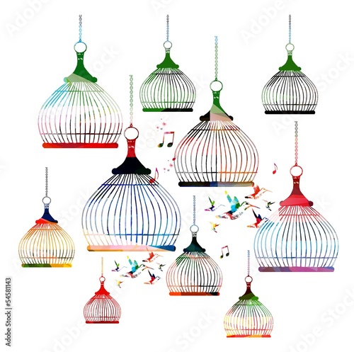 Colorful vector bird cages pattern with hummingbirds