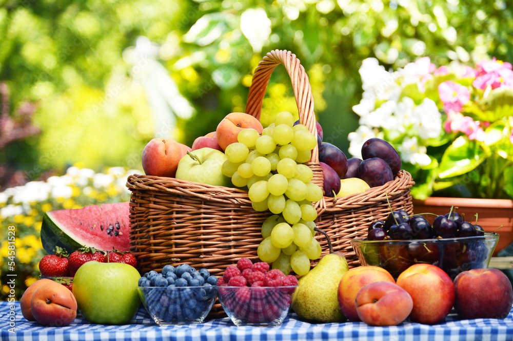 Obraz premium Kosz świeżych owoców organicznych w ogrodzie
