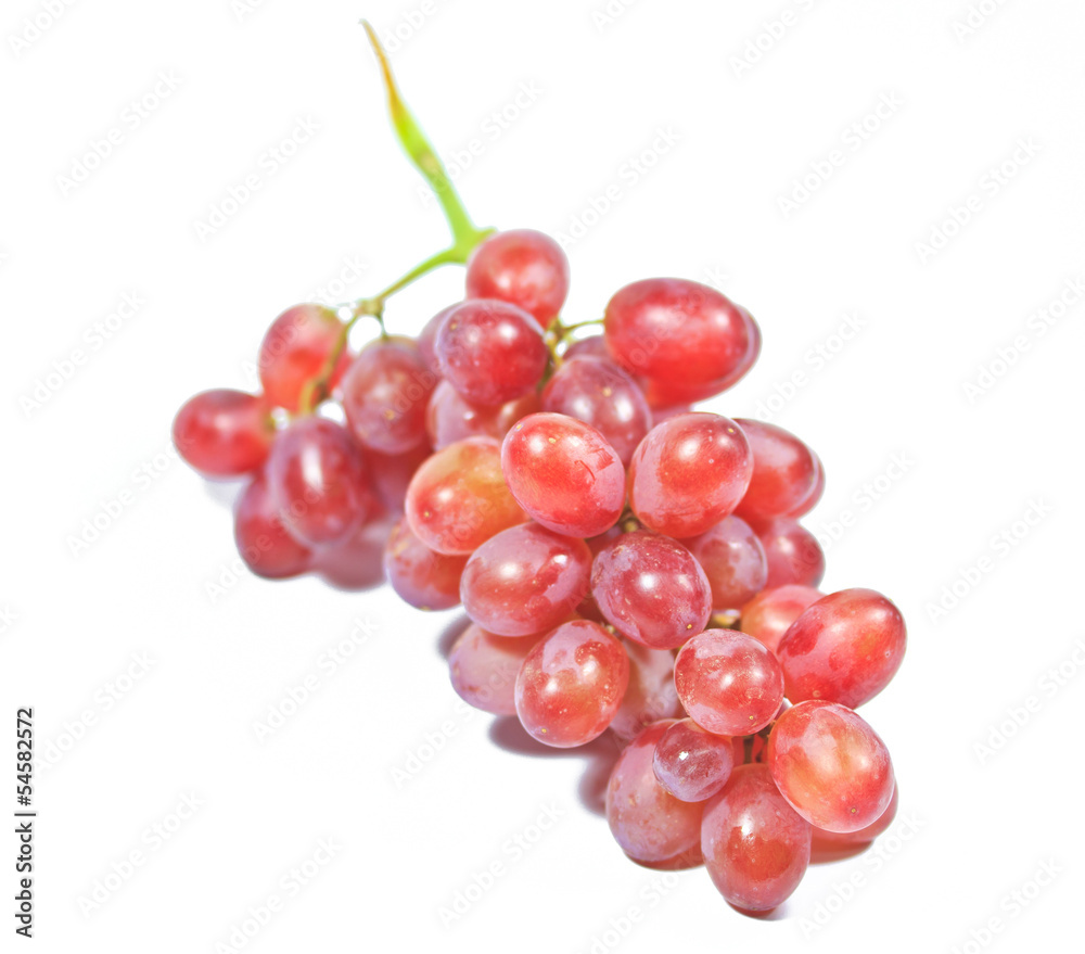 Red grapes which isolated image