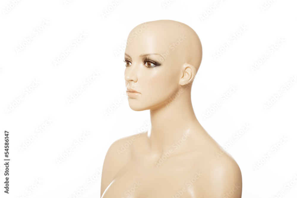 Head of a female mannequin in profile isolated on white Head of a female mannequin in profile isolated on white