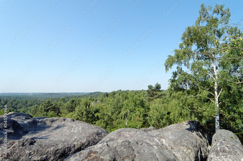 point de vue sur le massif de Fontainebleau