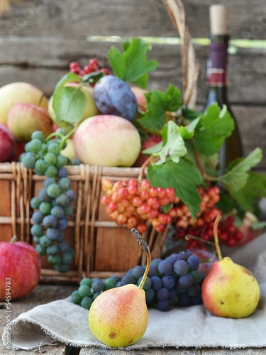 autumn fruits