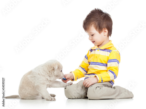 kid boy playing with puppy dog