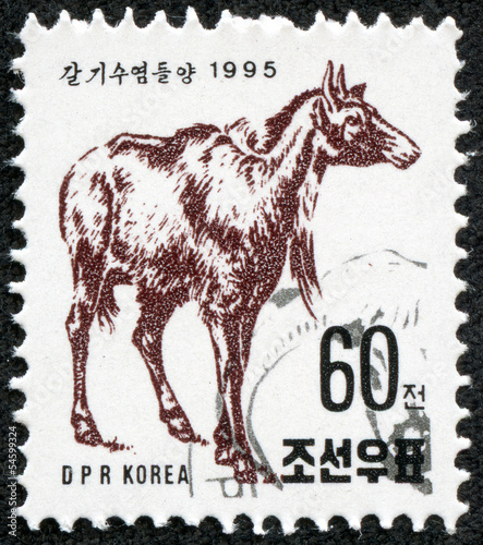 stamp printed in North Korea shows a Bluebuck photo