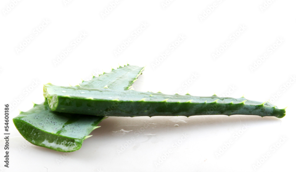 Aloe vera plant isolated on white