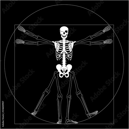 Homme de vitruve Halloween
