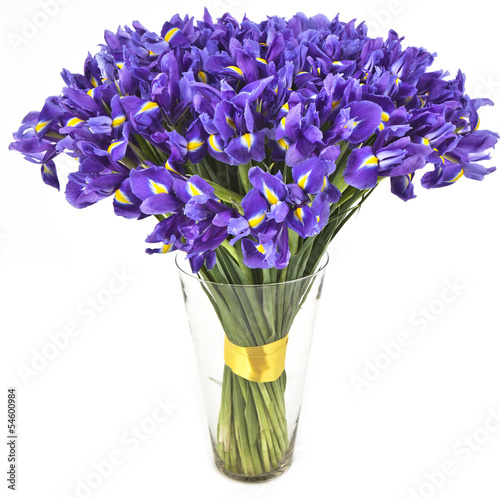 Fototapeta Naklejka Na Ścianę i Meble -  bouquet of irises  in vase isolated on white background