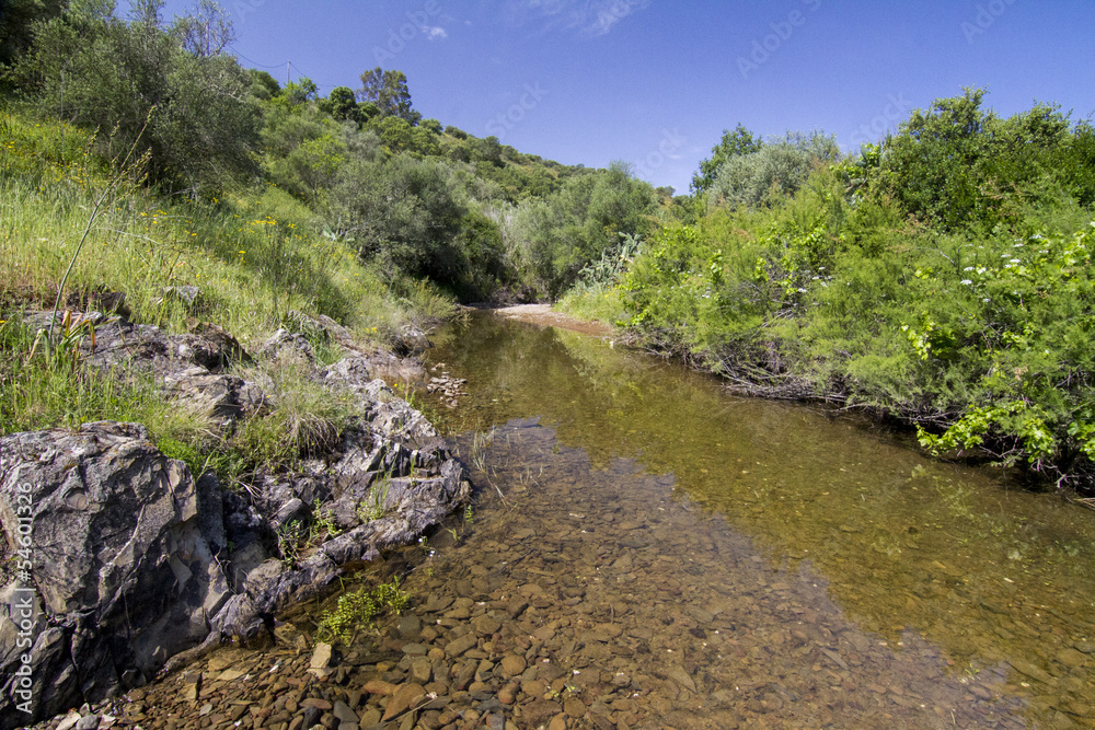 countryside river flowing in the Algarve interior countryside river flowing in the Algarve interior