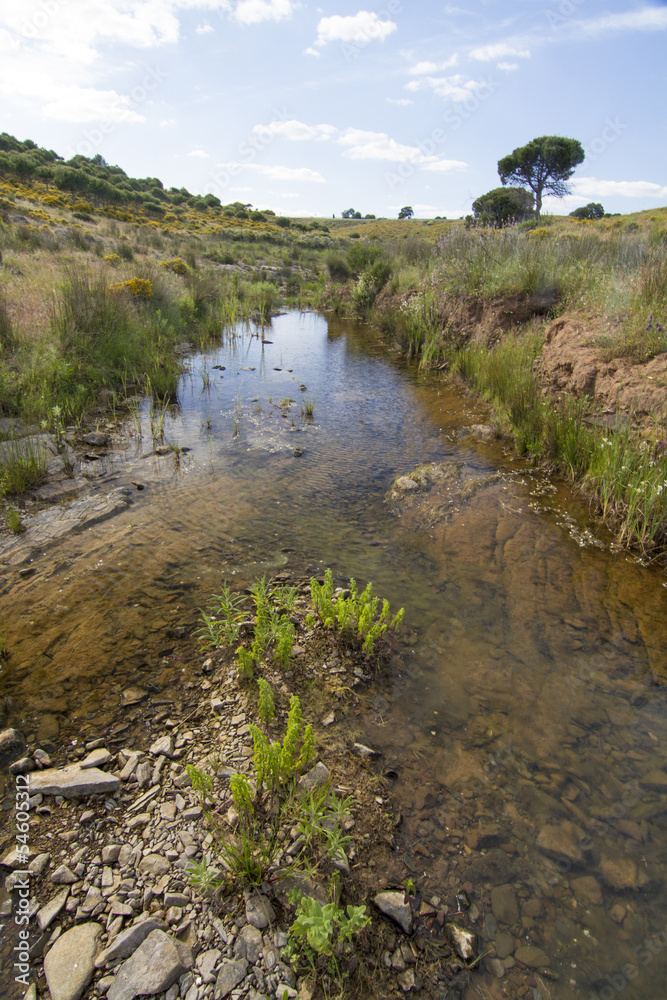 countryside stream of water located in Portugal. countryside stream of water located in Portugal.