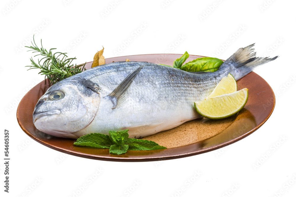 Fresh raw dorada Fresh raw dorada